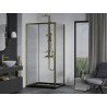 Mexen Apia sliding shower cabin 100 x 80 cm, transparent, gold + Flat shower tray, black - 840-100-080-50-00-4070G