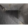 Mexen Lunar L pentagonal right-hinged shower enclosure 80 x 100 cm, transparent, brushed gold - 831L-080P-100L-55-00-P