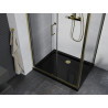 Mexen Apia sliding shower cabin 100 x 90 cm, transparent, gold + Flat tray, black - 840-100-090-50-00-4070G