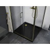 Mexen Apia sliding shower cabin 100 x 100 cm, transparent, gold + Flat tray, black - 840-100-100-50-00-4070G