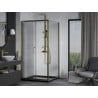 Mexen Apia sliding shower enclosure 100 x 100 cm, transparent, gold + Flat tray, black - 840-100-100-50-00-4070G