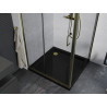 Mexen Apia sliding shower cabin 100 x 100 cm, transparent, gold + Flat tray, black - 840-100-100-50-00-4070G