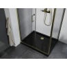 Mexen Apia sliding shower enclosure 110 x 100 cm, transparent, gold + Flat tray, black - 840-110-100-50-00-4070G