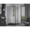 Mexen Apia sliding shower cabin 120 x 90 cm, transparent, gold + Flat tray, black - 840-120-090-50-00-4070G