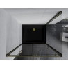 Mexen Apia sliding shower cabin 140 x 100 cm, transparent, gold + Flat shower tray, black - 840-140-100-50-00-4070G