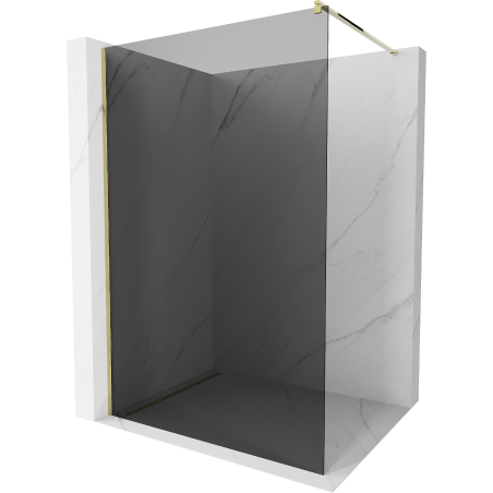 Mexen Kioto Walk-in Shower Panel 90 x 200 cm, Graphite 8 mm, Gold - 800-090-101-50-40