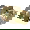 Mexen BRASS Straight Brass Fitting 2 GM x 2 GF - W97417-2020