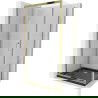 Mexen Apia extendable shower cubicle 140 x 100 cm, Transparent, Gold + shower tray Flat, Black - 840-140-100-50-00-4070G