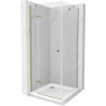 Mexen Roma 100 x 100 cm Swing Shower Enclosure, Transparent, Gold + Flat Shower Tray - 854-100-100-50-00-4010