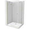 Mexen Roma 90 x 100 cm Hinged Shower Cabin, Transparent, Gold + Flat Shower Tray - 854-090-100-50-00-4010