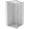 Mexen Rox Duo Shower Enclosure Sliding 85 x 85 cm, Transparent, Brushed Nickel - 8C2D-085-085-97-00