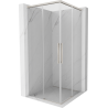 Mexen Rox Duo sliding shower cabin 110 x 110 cm, transparent, brushed nickel - 8C2D-110-110-97-00