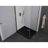 Mexen Pretoria pivot shower cabin 70 x 80 cm, transparent, gold + Flat shower tray, black - 852-070-080-50-00-4070G