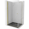 Mexen Pretoria hinged shower cubicle 100 x 80 cm, transparent, gold + shower tray Flat, Black - 852-100-080-50-00-4070G