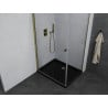 Mexen Pretoria hinged shower enclosure 100 x 90 cm, transparent, gold + Flat tray, black - 852-100-090-50-00-4070G