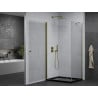 Mexen Pretoria hinged shower enclosure 100 x 90 cm, transparent, gold + Flat tray, black - 852-100-090-50-00-4070G