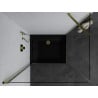 Mexen Pretoria hinged shower enclosure 100 x 90 cm, transparent, gold + Flat tray, black - 852-100-090-50-00-4070G
