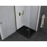 Mexen Pretoria hinged shower enclosure 100 x 90 cm, transparent, gold + Flat tray, black - 852-100-090-50-00-4070G
