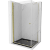 Mexen Pretoria hinged shower enclosure 100 x 90 cm, transparent, gold + Flat tray, black - 852-100-090-50-00-4070G