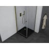 Mexen Pretoria 100 x 100 cm Pivot Shower Enclosure, Transparent, Gold + Flat Black Tray - 852-100-100-50-00-4070G