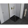 Mexen Pretoria 100 x 100 cm Pivot Shower Enclosure, Transparent, Gold + Flat Black Tray - 852-100-100-50-00-4070G