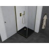Mexen Pretoria pivot shower cabin 100 x 100 cm, transparent, gold + Flat shower tray, black - 852-100-100-50-00-4070G