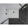 Mexen Pretoria pivot shower enclosure 100 x 110 cm, transparent, black + Flat shower tray - 852-100-110-70-00-4010B