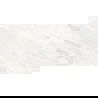 Mexen Sparta White Sample of Glazed Rectified Porcelain Tile G1, Floor-Wall Tile 120 x 60 cm, Glossy - TL101-00-S