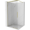 Mexen Rox Walk-in Shower Wall 110 x 200 cm, Transparent 8 mm, Gold - 8C2-110-003-50-00