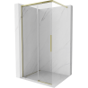 Mexen Rox Walk-in Shower Wall 120 x 200 cm, Transparent 8 mm, Gold - 8C2-120-003-50-00