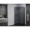 Mexen Pretoria swing shower enclosure 70 x 110 cm, graphite, chrome + Flat tray, black - 852-070-110-01-40-4070