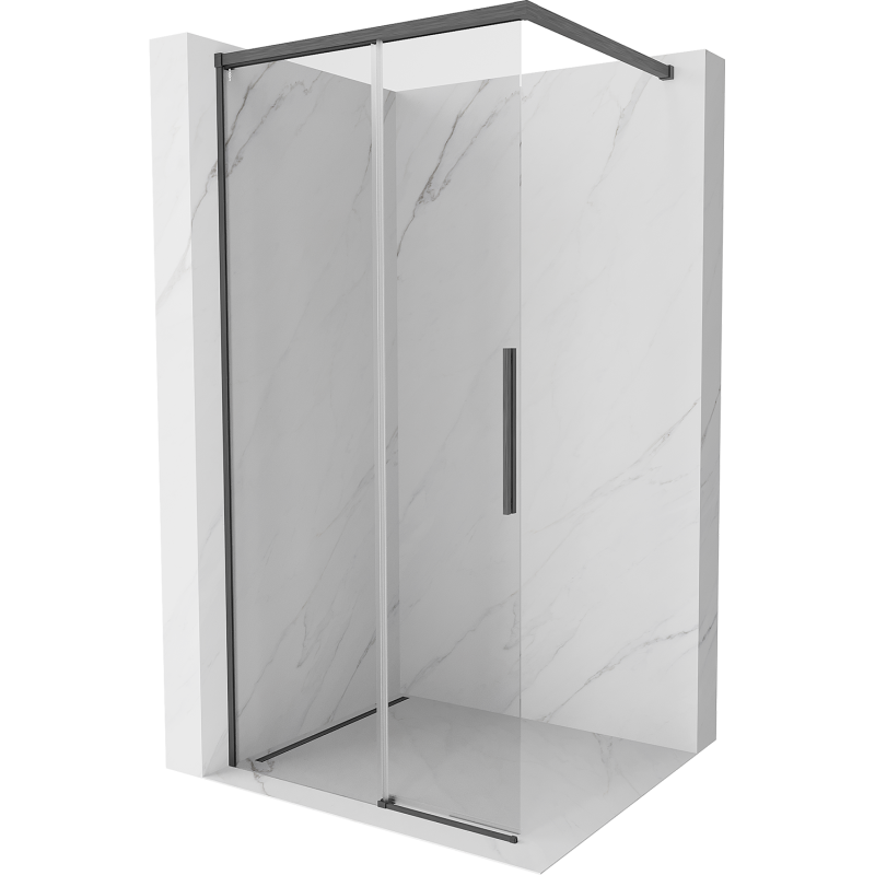 Mexen Rox Walk-in Shower Wall 110 x 200 cm, transparent 8 mm, brushed gun gray - 8C2-110-003-66-00