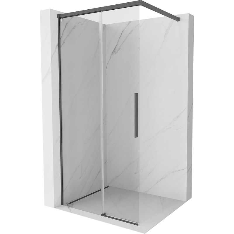 Mexen Rox Walk-in Shower Wall 120 x 200 cm, transparent 8 mm, brushed gun gray - 8C2-120-003-66-00