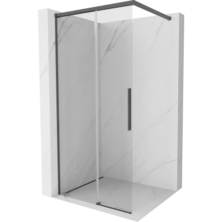 Mexen Rox Walk-in Shower Wall 120 x 200 cm, transparent 8 mm, brushed gun gray - 8C2-120-003-66-00