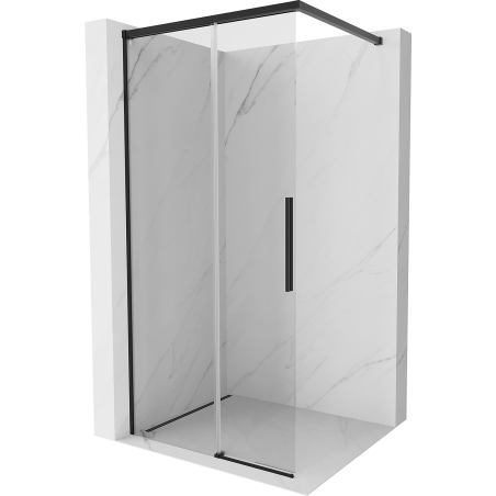 Mexen Rox Walk-in Shower Wall 120 x 200 cm, Transparent 8 mm, Black - 8C2-120-003-70-00