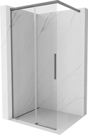 Mexen Rox Walk-in Shower Wall 95 x 200 cm, Transparent 8 mm, Gun Metal - 8C2-095-003-95-00