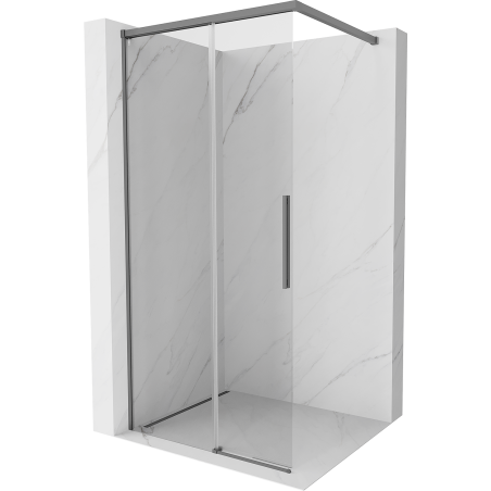 Mexen Rox Walk-in Shower Wall 120 x 200 cm, Transparent 8 mm, Gun Metal - 8C2-120-003-95-00
