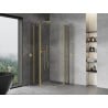 Mexen Mist Duo pivot shower cabin 110 x 110 cm, transparent, gold - 8A4-110-110-50-00