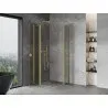 Mexen Mist Duo 70 x 70 cm Hinged Shower Enclosure, Transparent, Brushed Gold - 8A4-070-070-55-00