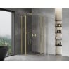 Mexen Mist Duo hinged shower cabin 100 x 100 cm, transparent, brushed gold - 8A4-100-100-55-00