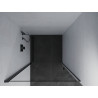 Mexen Pretoria swing shower door 100 cm, transparent, black - 852-100-000-70-00