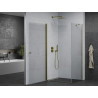 Mexen Pretoria pivot shower cabin 100 x 90 cm, transparent, gold - 852-100-090-50-00