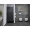 Mexen Pretoria swing shower door 100 cm, graphite, chrome - 852-100-000-01-40