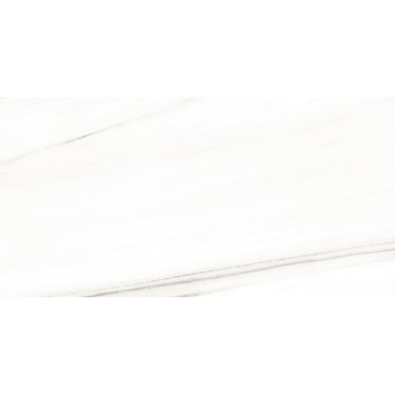 Mexen Lasa White sample of glazed rectified G1 porcelain, floor-wall tile 120 x 60 cm, gloss - TL103-00-S