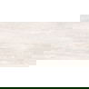 Mexen River Romano Light sample of glazed rectified gres tile G1, floor and wall tile 120 x 60 cm, glossy - TL104-01-S