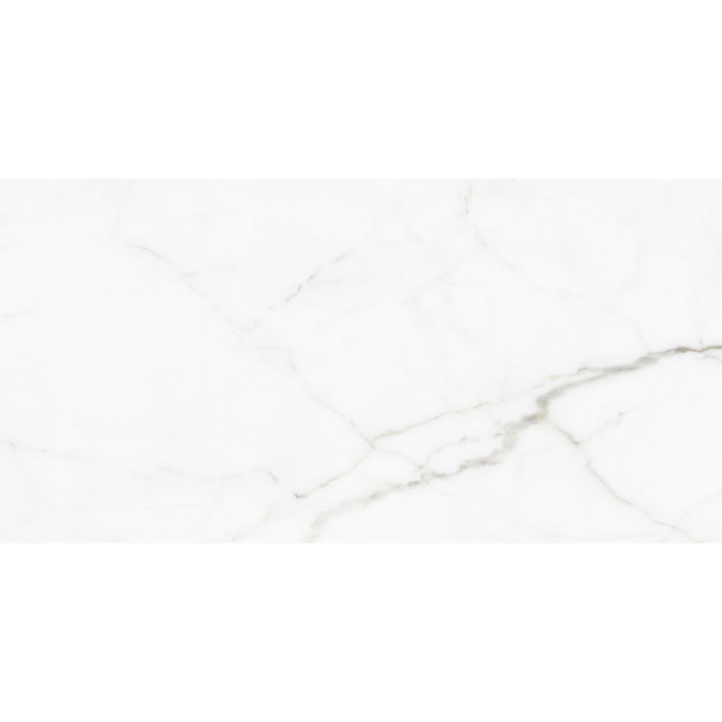 Mexen Lac Grey glazed rectified porcelain tile sample G1, floor-wall tile 120 x 60 cm, gloss - TL107-01-S