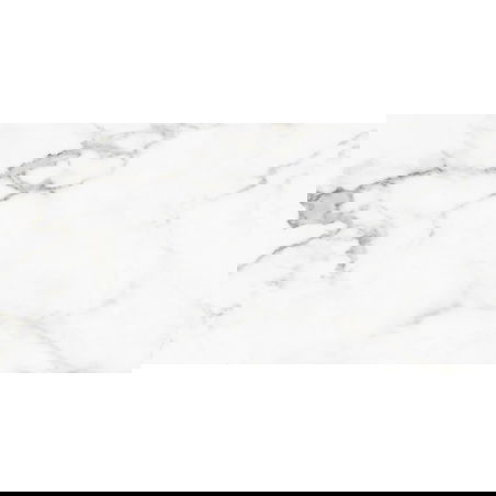 Mexen Lac Grey glazed rectified porcelain tile sample G1, floor-wall tile 120 x 60 cm, gloss - TL107-01-S