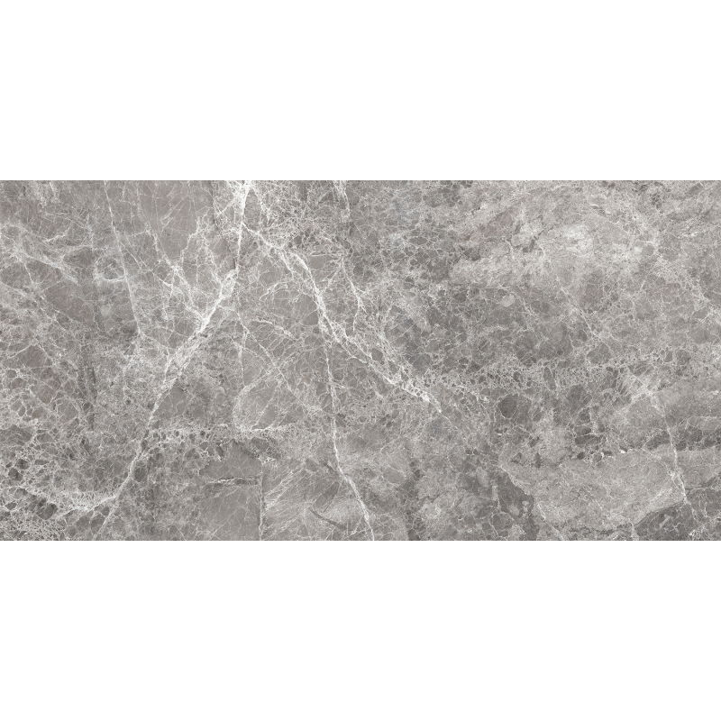 Mexen Lizard Grey sample of glazed rectified porcelain stoneware, floor-wall tile, gloss - TL109-02-S