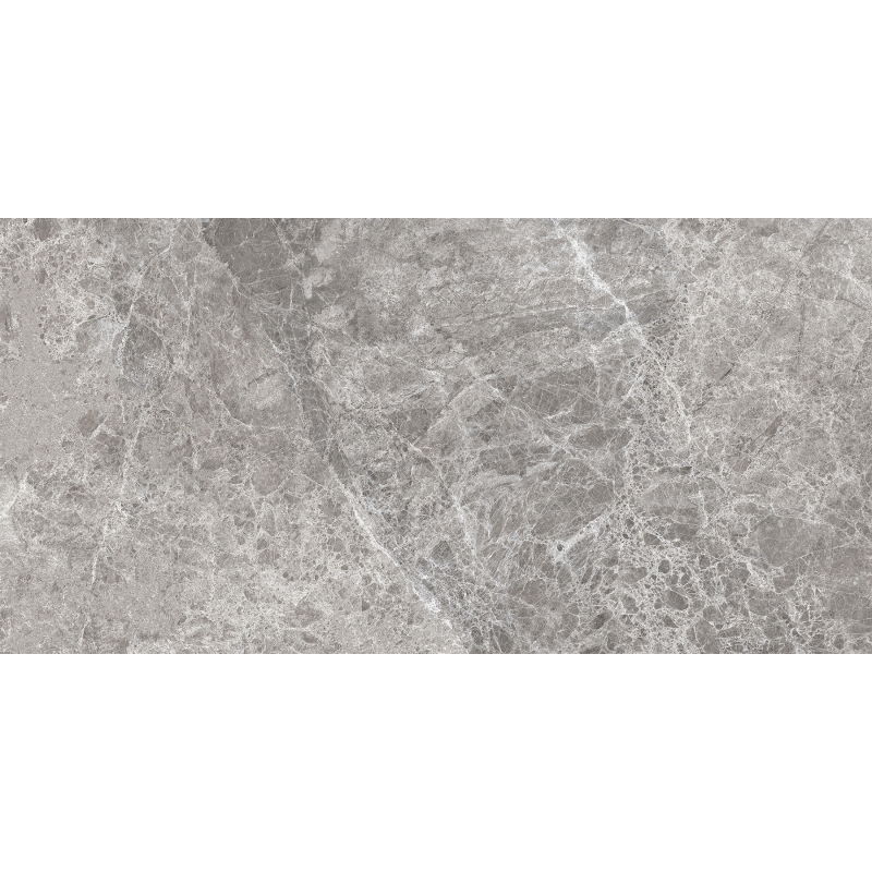 Mexen Lizard Grey sample of glazed rectified porcelain stoneware, floor-wall tile, gloss - TL109-02-S