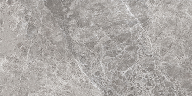 Mexen Lizard Grey sample of glazed rectified porcelain stoneware, floor-wall tile, gloss - TL109-02-S